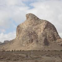 عقاب کوه